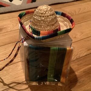 Colorful Dog Sombrero and Poncho Set new with box